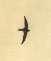 198