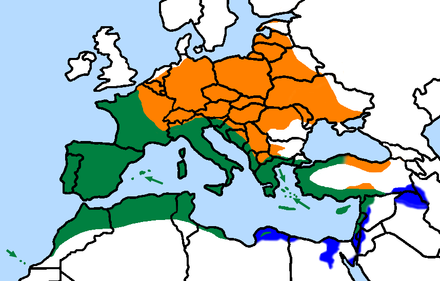 203