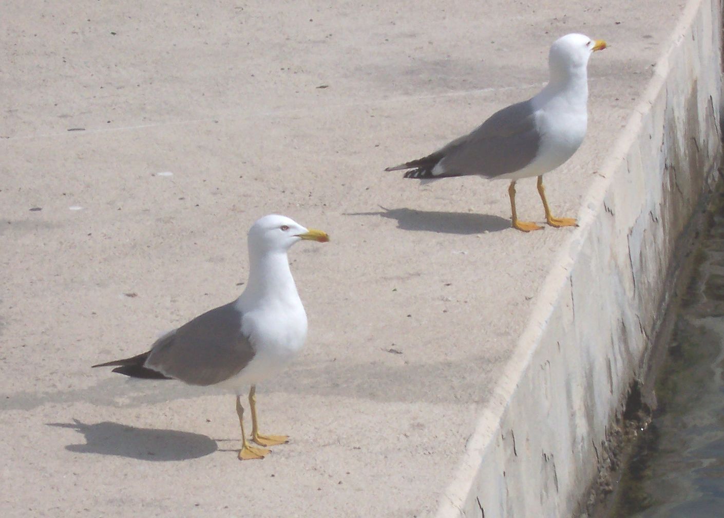 219