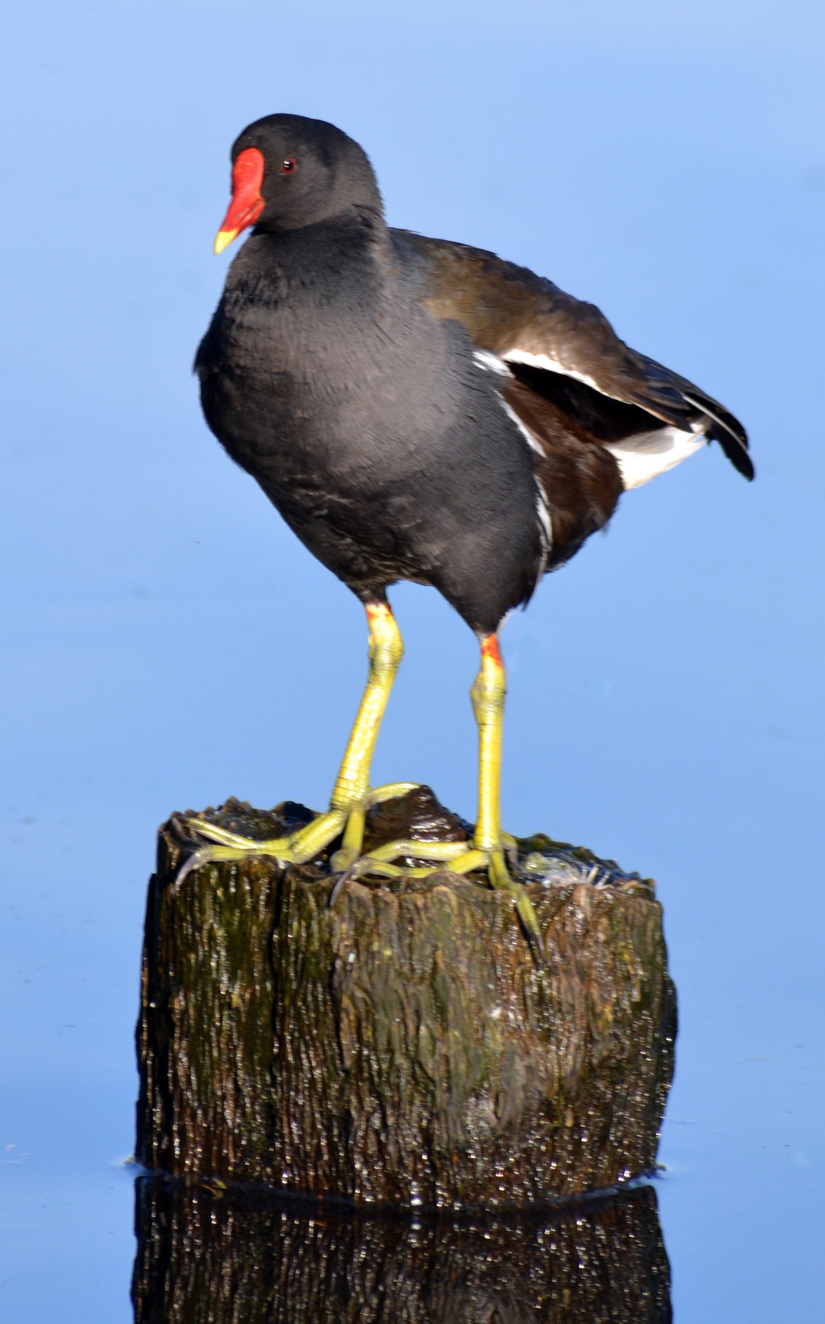 405