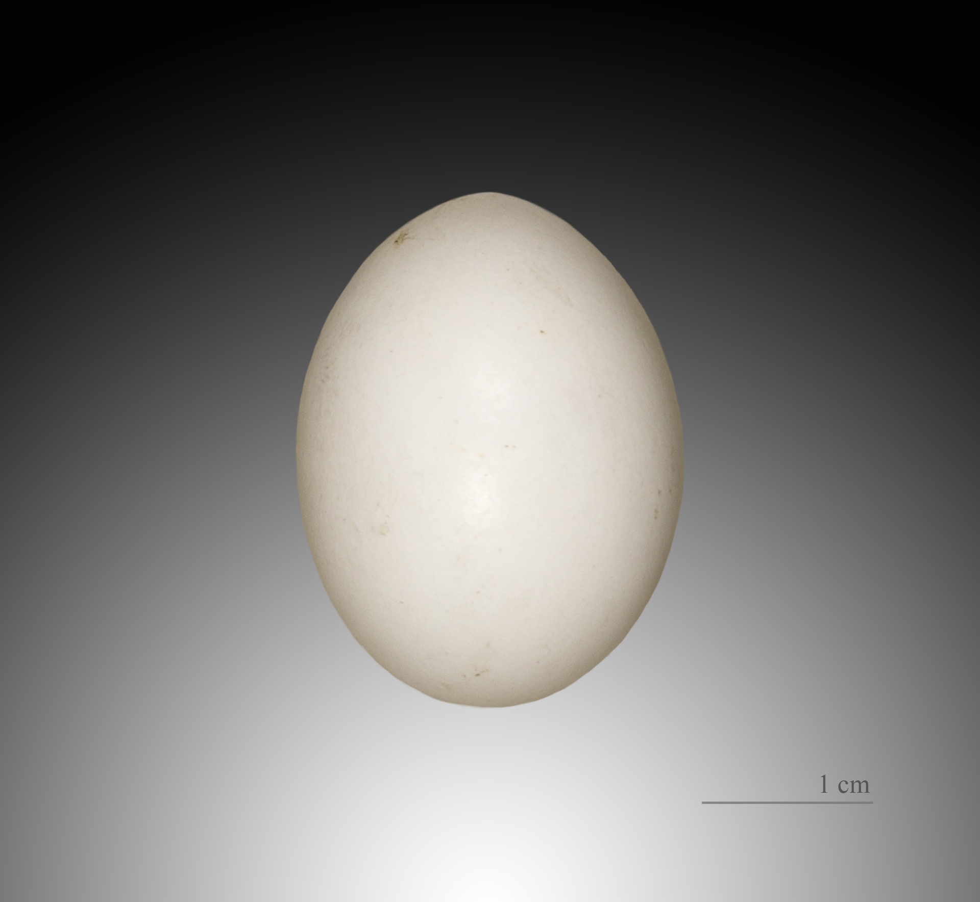 528